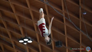 aere trampoline cup tra tum dmt ph by tomasi simone ferraro   fgi 
